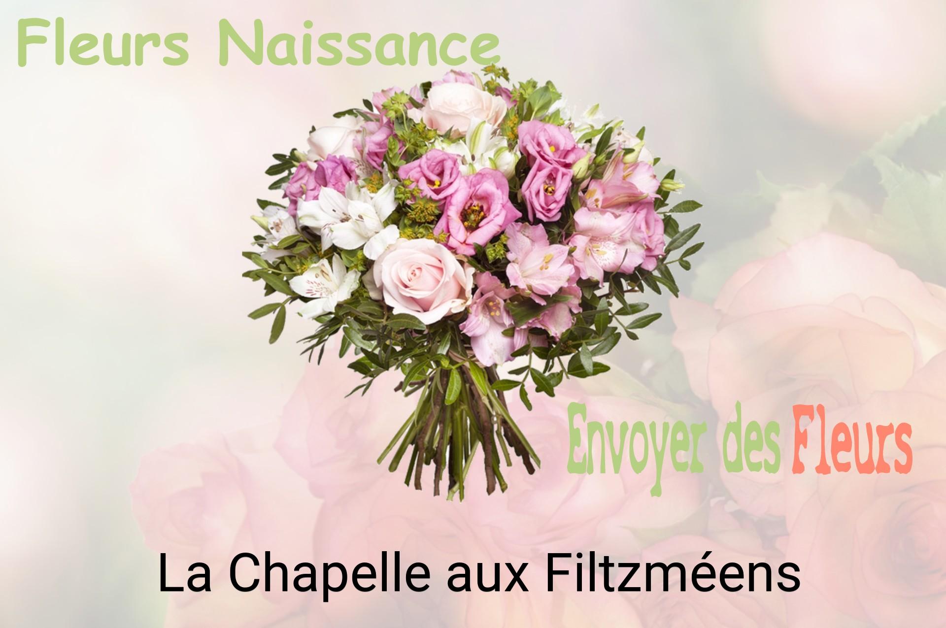 Bouquet de fleurs de naissance livré à La Chapelle-aux-Filtzméens